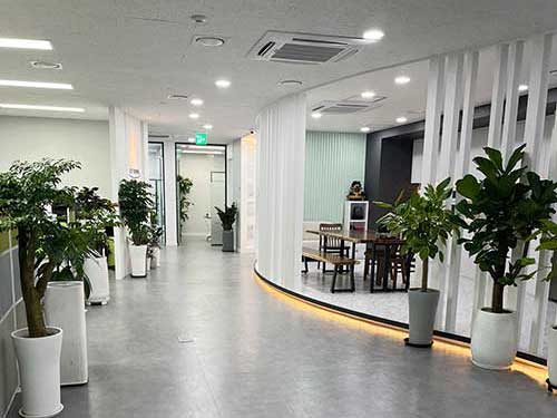 과천 소프트보울 사옥